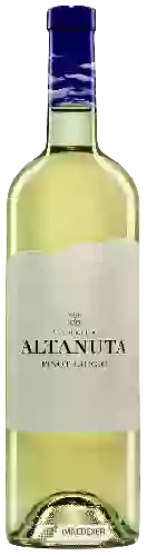 Bodega Altanuta - Pinot Grigio Valdadige