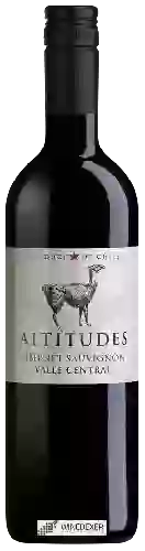 Bodega Altitudes - Cabernet Sauvignon