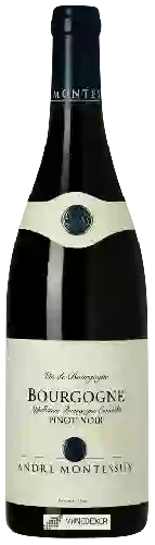 Bodega Andre Montessuy - Bourgogne Pinot Noir