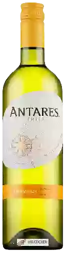 Bodega Antares