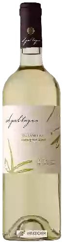 Bodega Apaltagua - Gran Verano Sauvignon Blanc