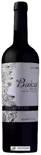 Bodega Baica