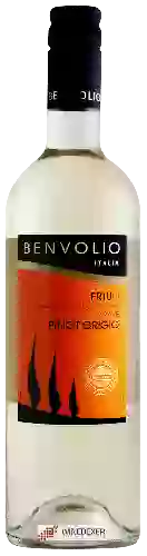 Bodega Benvolio - Pinot Grigio