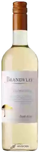 Bodega Brandvlei - Chardonnay Dry