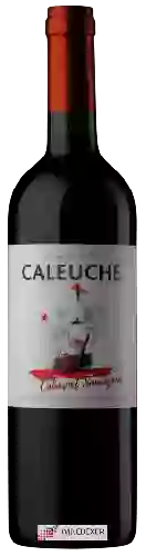 Bodega Caleuche