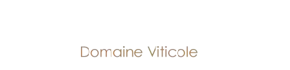 Bodega Clos Roussely - Irréductible Rosé