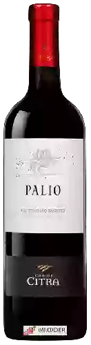 Bodega Citra - Palio Montepulciano d'Abruzzo