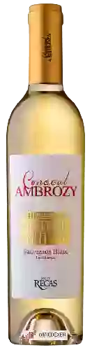 Bodega Conacul Ambrozy - Sauvignon Blanc Late Hervest