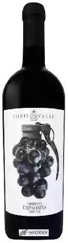 Bodega Conti Valli