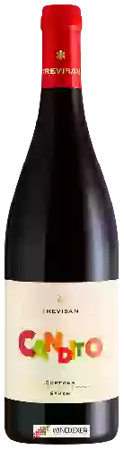 Bodega Trevisan - Candito Syrah