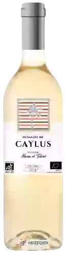 Domaine de Caylus