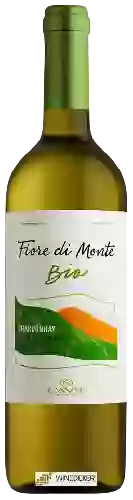 Bodega Fiore di Monte