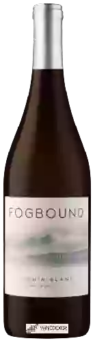 Bodega Fogbound