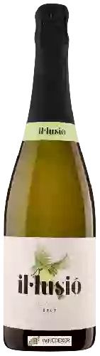 Bodega Il·lusió