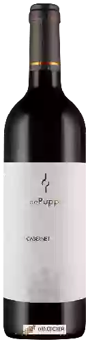 Bodega Villa de Puppi - Cabernet