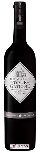 Bodega La Tour de Gâtigne - Cabernet Sauvignon