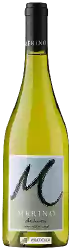 Bodega Merino - Chardonnay