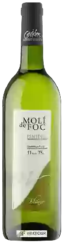 Bodega Molí de Foc