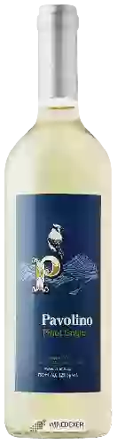 Bodega Pavolino - Pinot Grigio