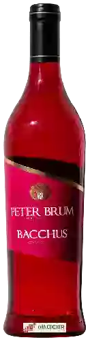 Bodega Peter Brum