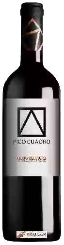 Bodega Pico Cuadro - Ribera del Duero