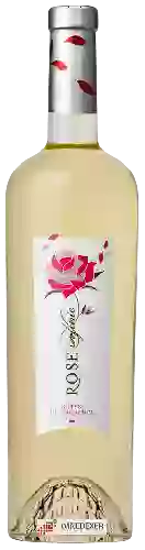 Bodega Rose Infinie - Côtes de Provence Blanc