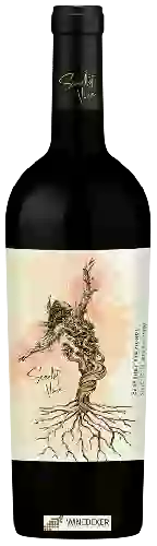 Bodega Scarlet Vine - Selected Hillside Vineyards Cabernet Sauvignon