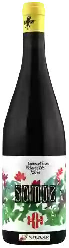 Bodega Somos - Cabernet Franc