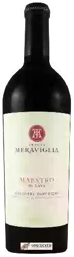 Bodega Tenuta Meraviglia - Dievole Maestro di Cava