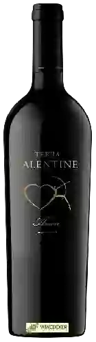 Bodega Terra Valentine