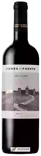 Bodega Tierra Fuerte