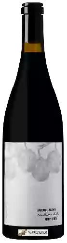 Bodega Anthill Farms - Anderson Valley Pinot Noir